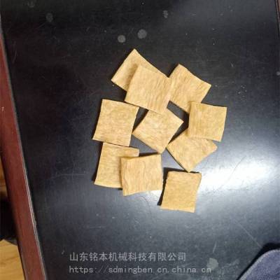 植物大豆拉丝蛋白设备膨化机 铭本机械技术支持