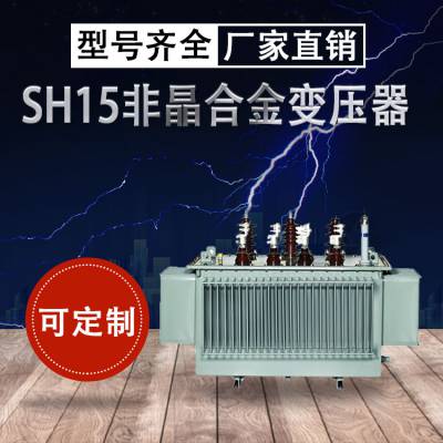非晶合金铁芯SH15-1250KVA/10KV级油浸式变压器节电低损耗