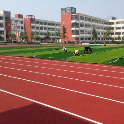 广州塑胶跑道施工 硅PU篮球场运动场材质施工 铺设人造草坪足球场工程施工
