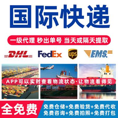 国际快递 DHL物流 UPS集运 FEDEX 美国欧洲中东专线邮寄EMS