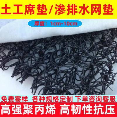 土工席垫网状交织板渗水片材网垫复合反滤层塑料排水网