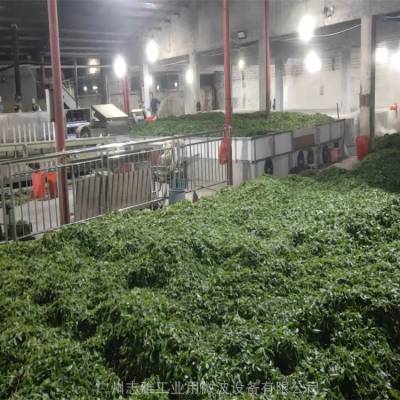 供应艾叶杀青机茶叶杀青机微波烘干机 不锈钢材料 一键启动