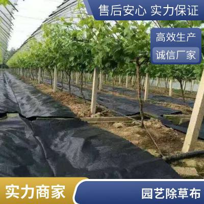 工厂供应1.2*500PP编织防草布 黑色除草布盖草布园艺地布