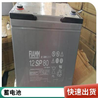 FIAMM***蓄电池2XL1000 2V1000AH寿命大电流工业储能电池