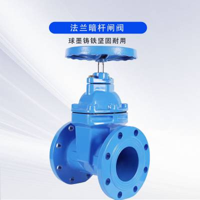 良工沪工方工法兰式软密封暗杆闸阀Z45X-16Q