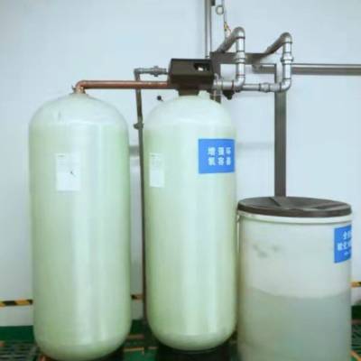 大川水处理-全自动软水器/进口弗莱克软化阀锅炉补给水去离子系统