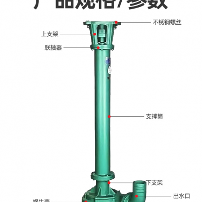 NL100-16立式泥浆泵污水泵淤泥长杆泵抽泥沙化粪池排污泵铸铁材质