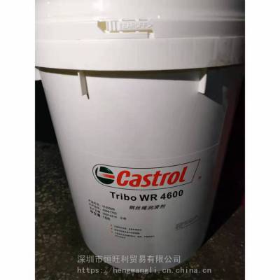 ʵWR4600 ˿󻬼 Castrol Tribol WR 4600 