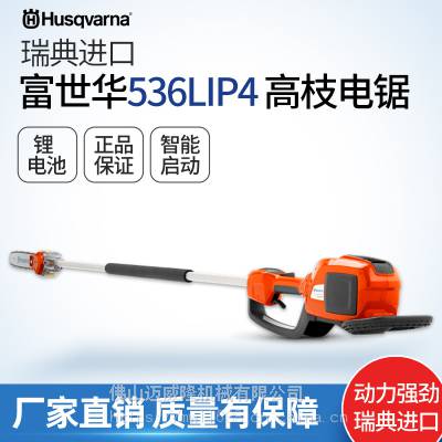 536LIP4֦֦﮵̻԰޼֦