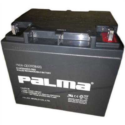 PaLma八马蓄电池PM38-12铅酸免维护12V38AH 直流屏 机房UPS电源用