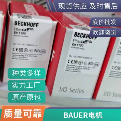 BAUER电机TorqueControl4.0 齿轮马达【坚固耐用】