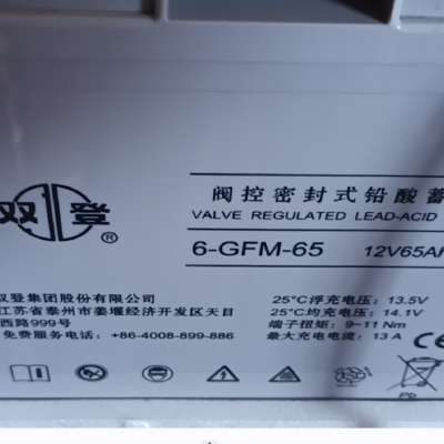 ˫ ܷʽǦά 6-GFM-65C20