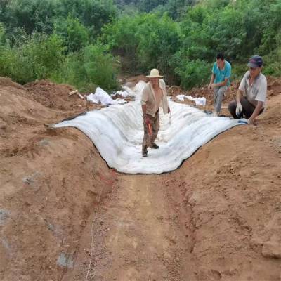 水泥复合毯鱼池护坡 排水沟渠防护水泥纤维毯 固化毯