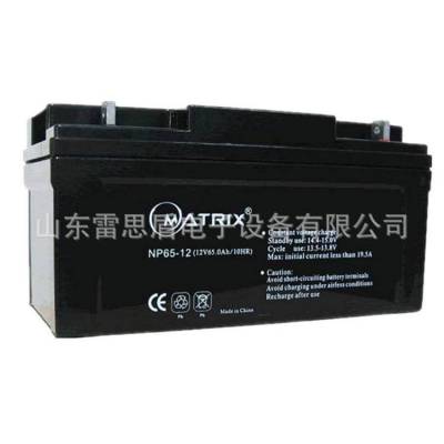 矩阵蓄电池 NP100-12 12V100AH EPS/UPS铅酸免维护用 MATRIX电池