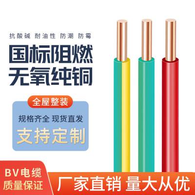 仁达特缆 国标电缆 BV 铜芯单芯电线 电源线 1*6mm² 红色 绿色 黄绿色