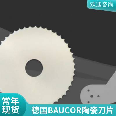 德国BAUCOR冲压模具刀箭尖刀