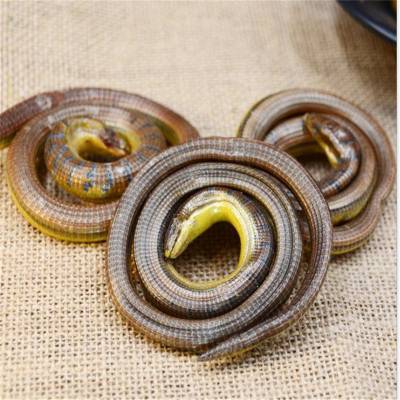 野生碎蛇批发价格 银蛇的功效和作用