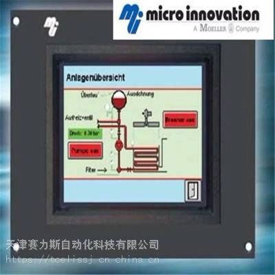 ʿMICRO-INNOVATION