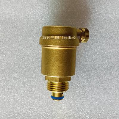 ZP88-1AA 1.6MPa 110CͭԶBSP