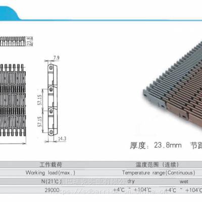 供应BARRICK品牌-耐高温型-巴氏杀菌机-塑钢-4809型网链