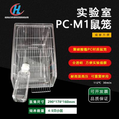 ǿƺm1Сpc͸m1