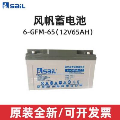 风帆蓄电池6-GFM-65 12V6***H通信UPS机房应急电源专用储能设备