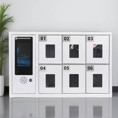 智能手机寄存柜6格12格壁挂指纹密码手机存放柜员工人脸识别储物