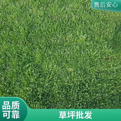 怀柔别墅花园设计铺装家庭庭院绿化基地户外草坪铺装草坪基地