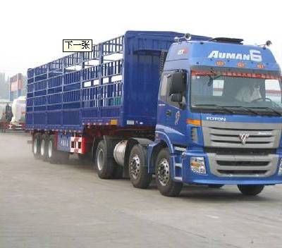 ³ľ뵽칫· ºͨ˹˾_Ϸ