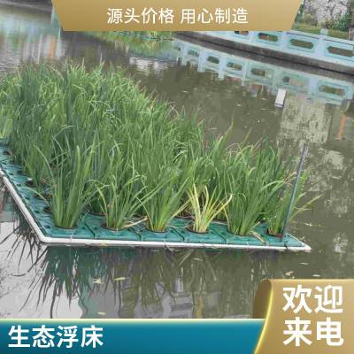 水上种植植物浮岛开花观赏修复重建水生态系统生物浮床