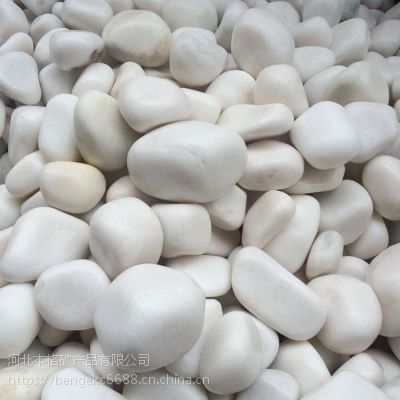 河北本格供应纯白鹅卵石 白色石头 道路铺设鹅卵石 圆润有光泽 量大