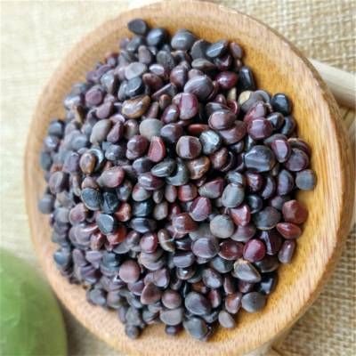 枳椇子可以种植吗枳椇子的功效主治枳椇子的药用价值