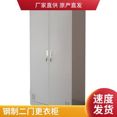 大空间现代简约钢制二门更衣柜 家庭用防火防磁两层置物柜