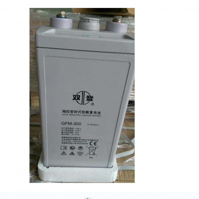 ˫ǷܷʽǦGFM-300C10