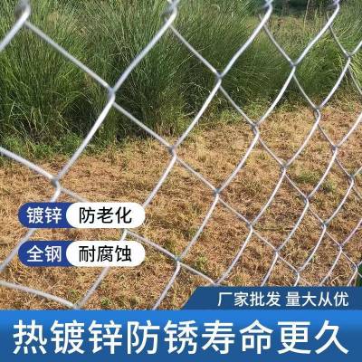 兴来 镀锌铁丝围栏网 口字型体育场防护网厂 支持定做