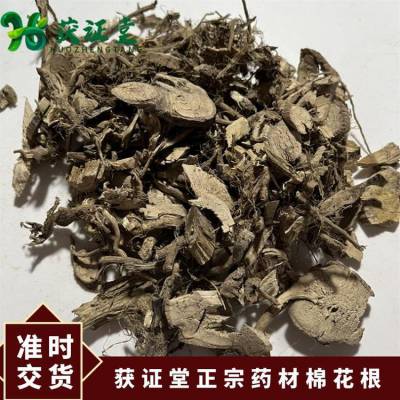 获证堂正宗药材棉花根 无硫中药材草棉根皮 原材料蜜根大量出售