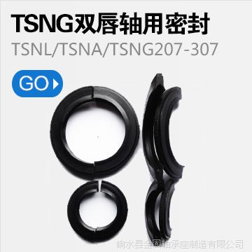 厂轴用TSNL/TSNA/TSNG205-305密封件 TSNG206-306系密封圈 轴承座