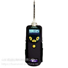 ppb RAE3000 VOCл壩PGM-7340