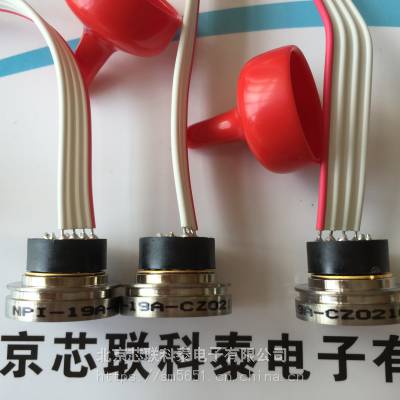 NPI-19A-021GH¹ȼ2.5psiˮ׼17.2Kpaѹ