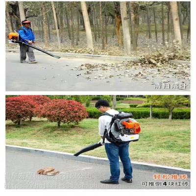 吉林长春吹风机价格 公园路面吹雪机 山地灭火清理机