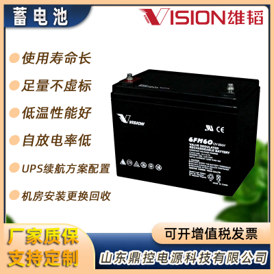 雄韬VISION威神CL100铅酸免维护蓄电池2V100AH交通信号灯控制柜用