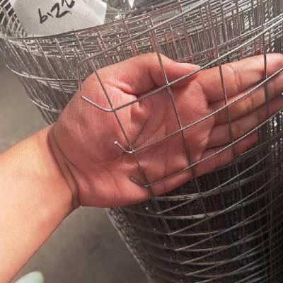 不锈钢电焊钢丝网 养殖镀锌铁丝网 抹墙保温金属电焊网