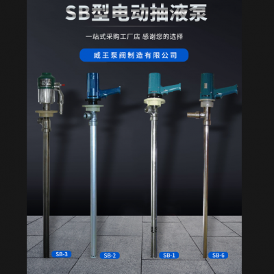 消泉SB-1不锈钢 电动抽液泵 电动插桶泵防腐化工泵溶剂泵使用寿命长