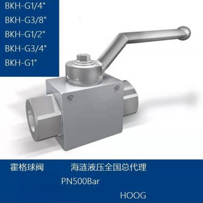 HOOG BALL VALVE BKH-G1/4ѹ