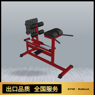 GYMRobust๦ܽ е쳧