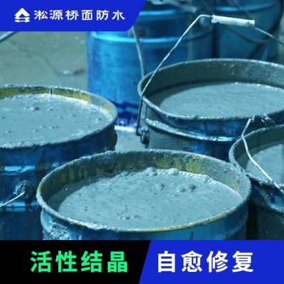 地下室消防水池防水 污水水池防水水泥基防水涂料厂家直发