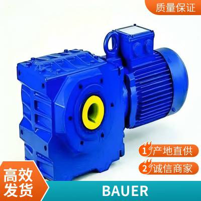 德国 BAUER齿轮减速电机BS06-44V/D08MA4W/C1-SP