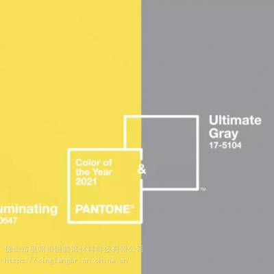 PANTONEͨ2021ɫ