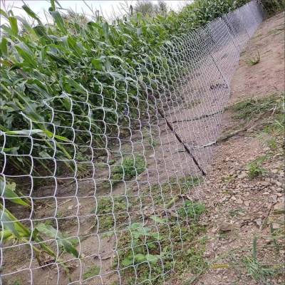 养鸡勾花铁丝网 果园活络围栏 荒山镀锌编织网 拧边防护网