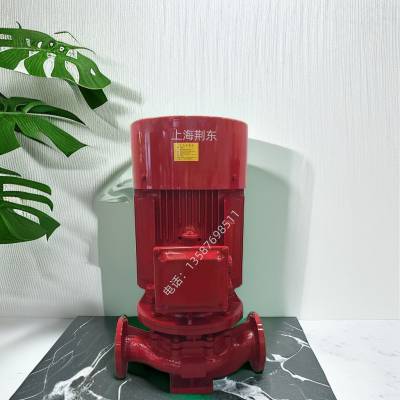 单级消防泵 XBD9.0/35-125L 立式消防水泵 消防系列产品 多用泵